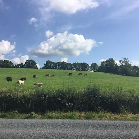 Cootehill Hillview House Bed & Breakfast エクステリア 写真